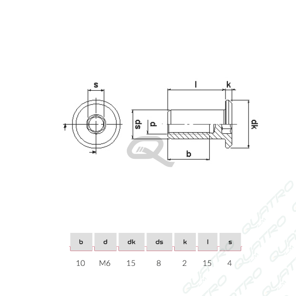 Imbusová matica M6 x 15 Zn