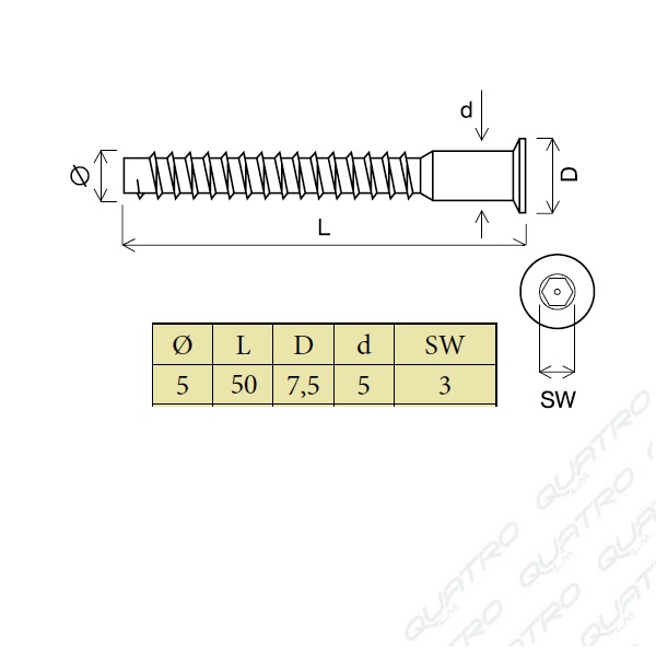 302.01_a Konfirmát 5x50mm bez otvoru na krytku imbus biely zinok