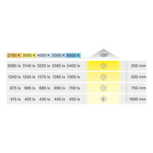 833.76.255_c LED pásik 3148 8mm Loox5 biela teplá 2700K 24V 9,5W/m balenie 5m