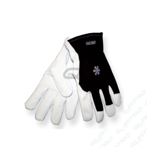 Rukavice TECHNIC WINTER veľ.9