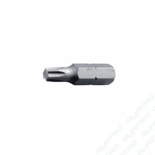Bit torx T25x25 FPB